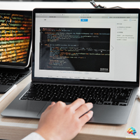 Custom software development